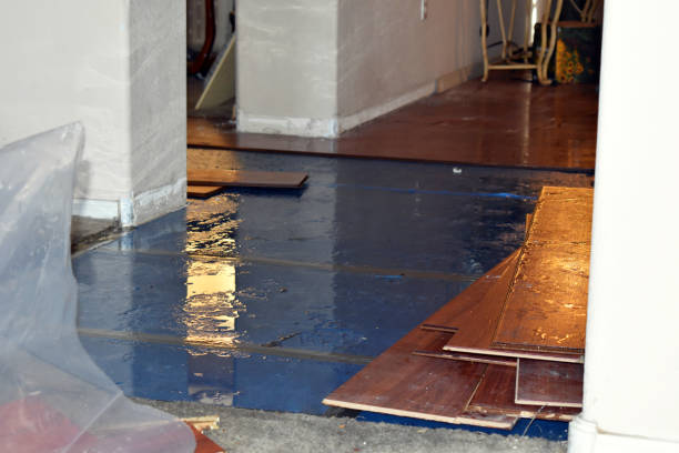 Professional Basement Flood Cleanup technician working in Columbus, MS
