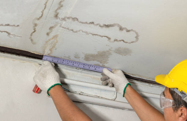 Reliable Basement Flood Cleanup contractor in Columbus, MS by Aqua Guard Water Damage